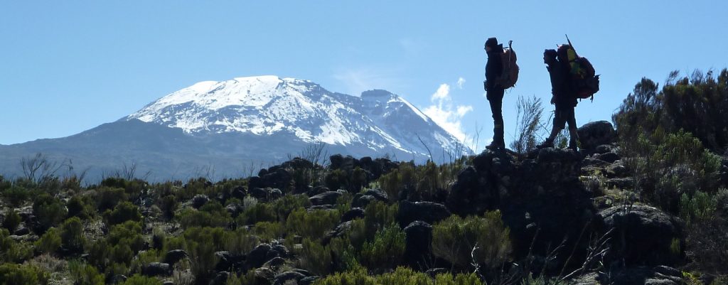 Kilimanjaro climb moorland